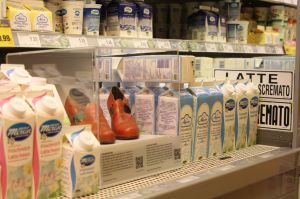 Museumsobjekte gehen fremd (Foto: Oskar Verant)