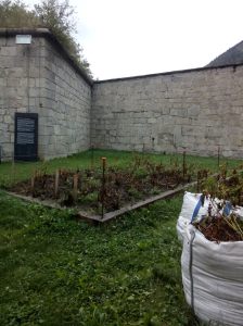 Hannes Egger, Project Terra  (Foto: Elisa Nicoli)